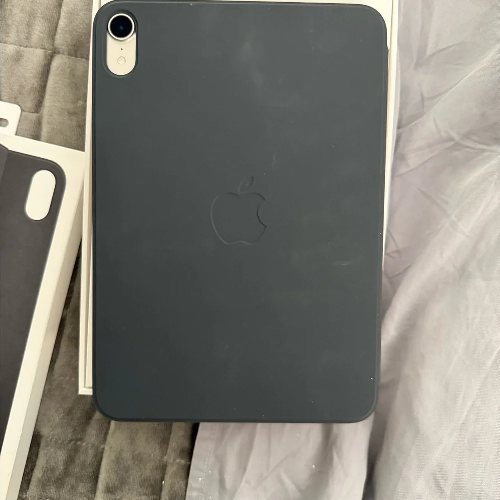 Apple iPad Mini - Pink and Orange Display